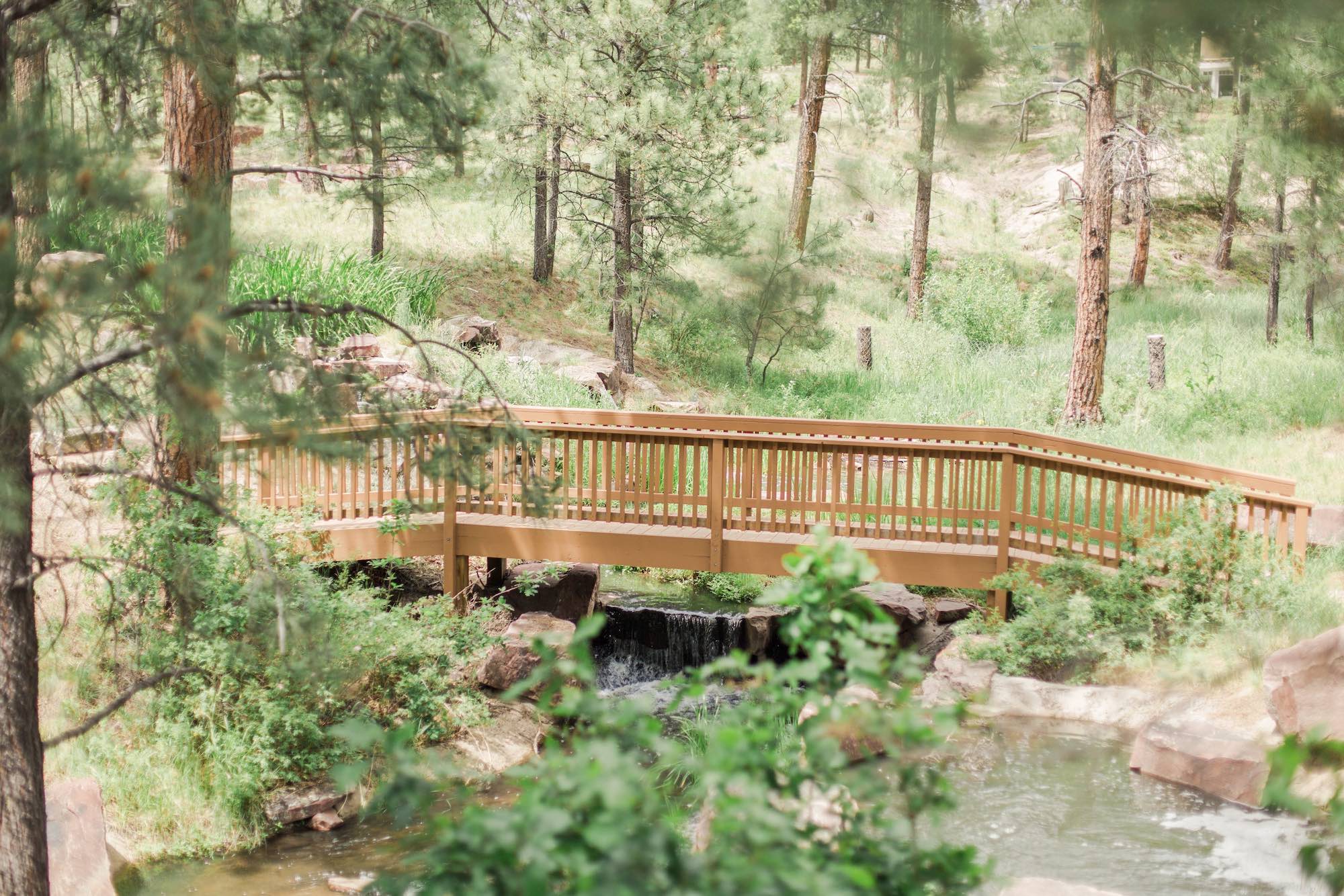Arched wooden footbridge over a creek among tall pines at The Lodge at Cathedral Pines in Black Forest, Colorado