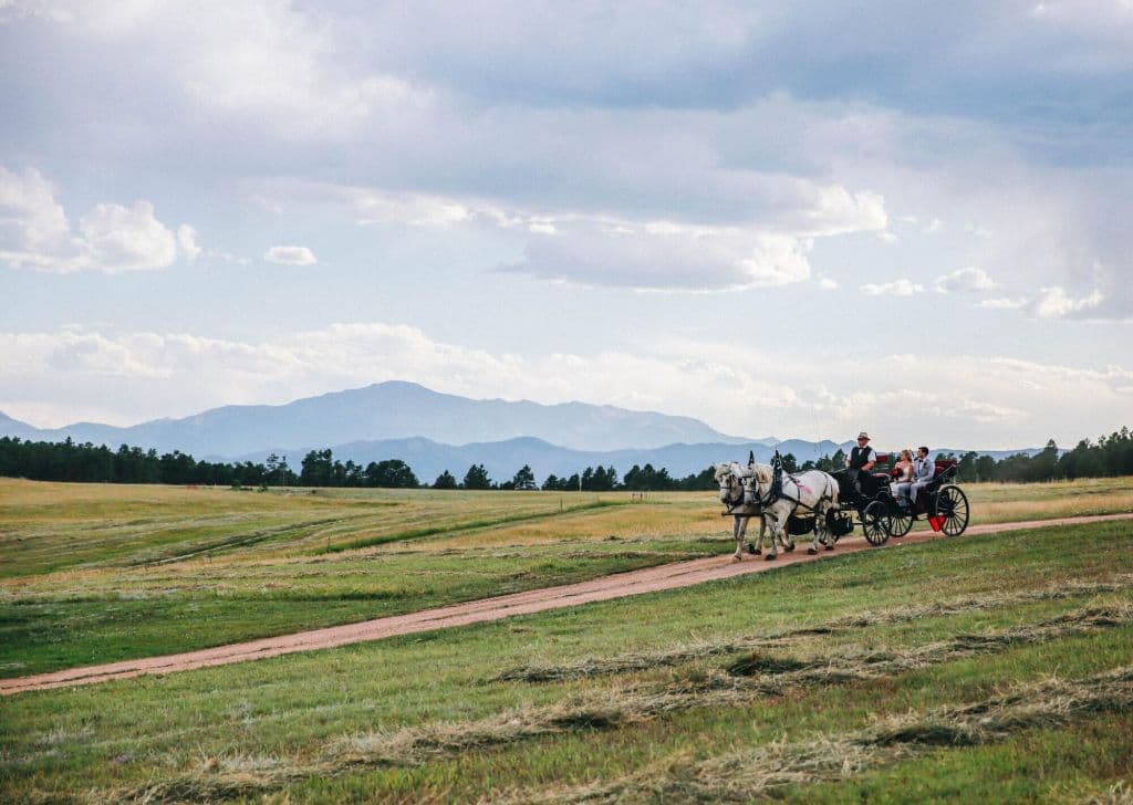 Horse-drawn carriage crossing open meadows with mountain views at Younger Ranch in Monument, Colorado